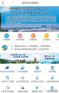 東臺官方旗艦店盛大啟航，鹽城首家創新平臺引領區域發展